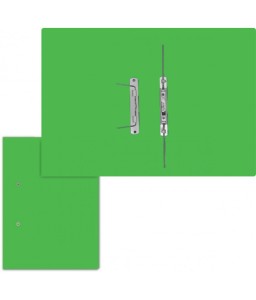 Accessible File Green PKT-4