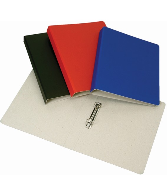 File 2 Ring A4 Trunkboard Asst