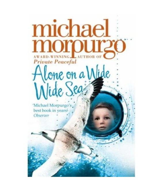 Alone on a Wide Wide Sea