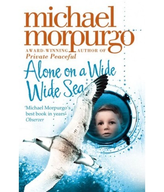 Alone on a Wide Wide Sea