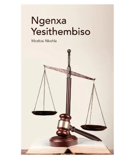 Ngenxa Yesithembiso Gr 11 Novel