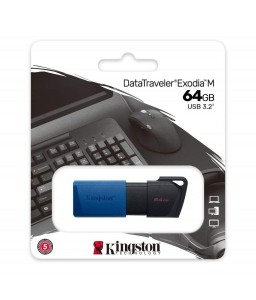 Memory Stick Kingston 64GB